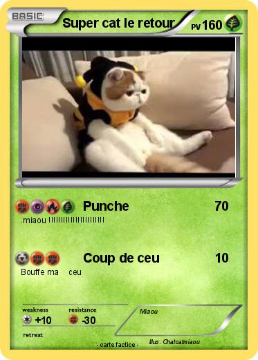 Pokemon Super cat le retour
