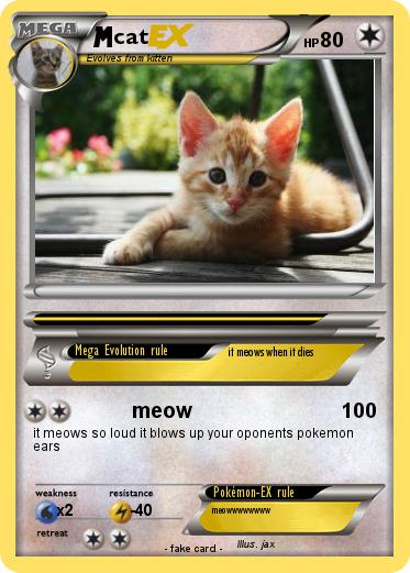 Pokemon cat