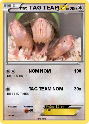 Pokemon rat TAG TEAM