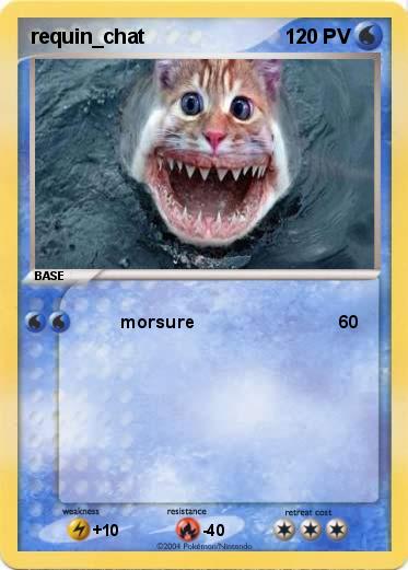 Pokemon requin_chat