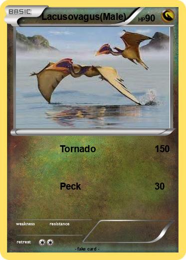 Pokemon Lacusovagus(Male)