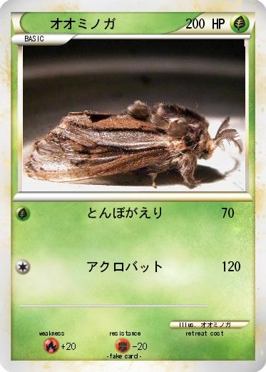 Pokemon オオミノガ