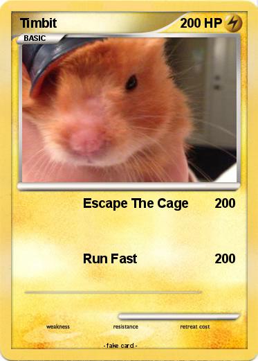 Pokemon Timbit
