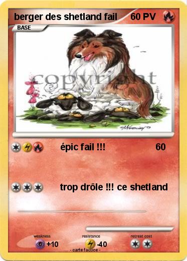 Pokemon berger des shetland fail