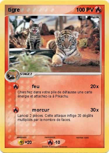 Pokemon tigre