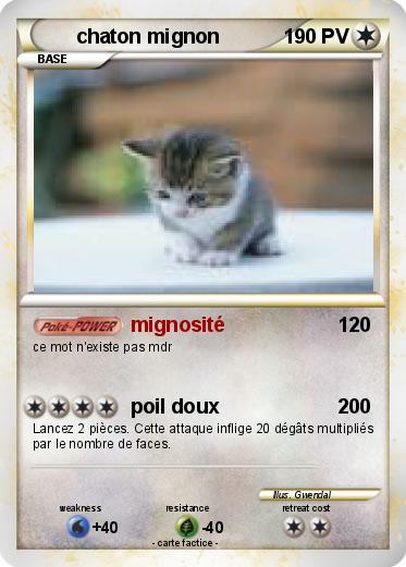 Pokemon chaton mignon