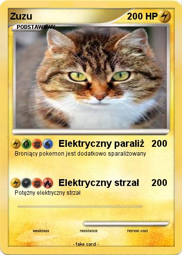 Pokemon Zuzu