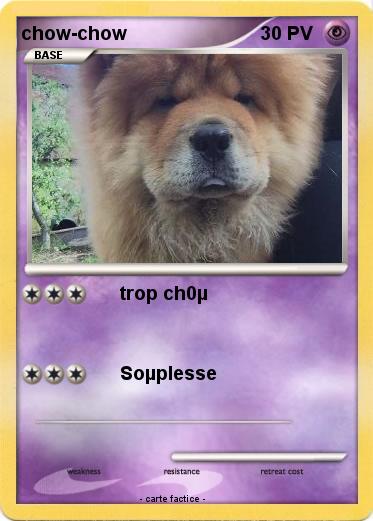 Pokemon chow-chow