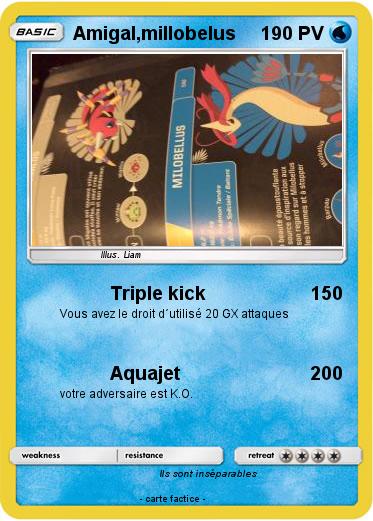 Pokemon Amigal,millobelus