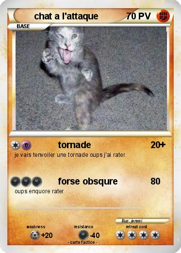 Pokemon chat a l'attaque