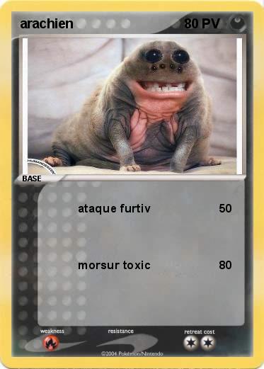 Pokemon arachien