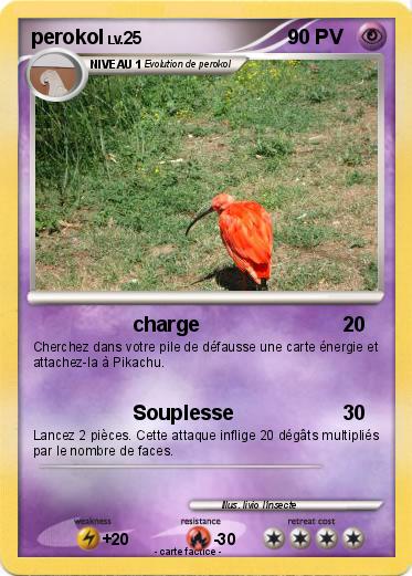 Pokemon perokol