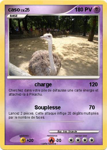 Pokemon caso