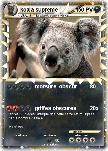 Pokemon koala supreme