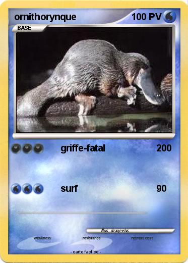 Pokemon ornithorynque