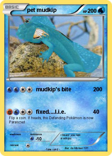 Pokemon pet mudkip