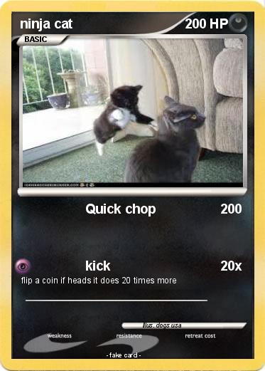 Pokemon ninja cat