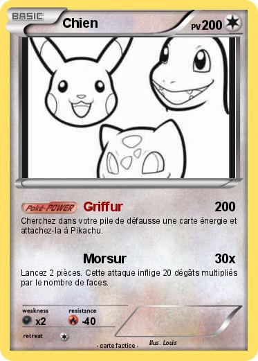 Pokemon Chien