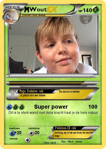 Pokemon Wout