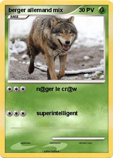 Pokemon berger allemand mix