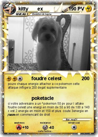 Pokemon kitty       ex