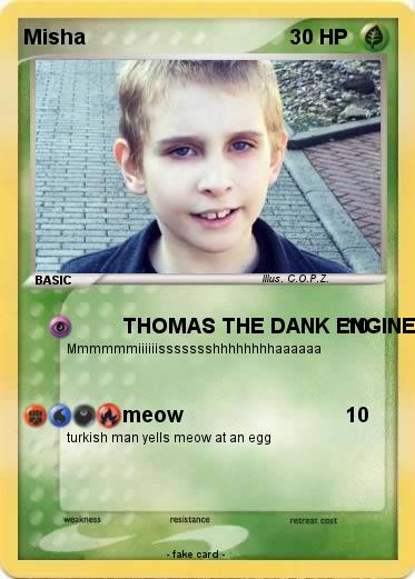 Pokemon Misha