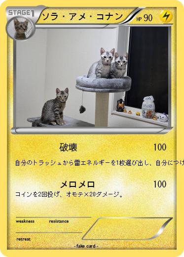 Pokemon ソラ・アメ・コナン