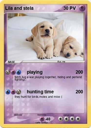 Pokemon Lila and stela