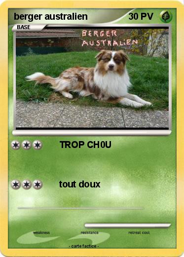 Pokemon berger australien
