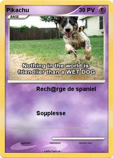 Pokemon Pikachu