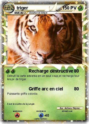 Pokemon triger