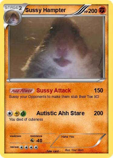 Pokemon Sussy Hampter