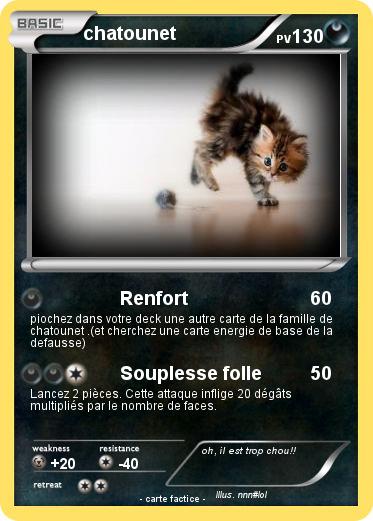 Pokemon chatounet