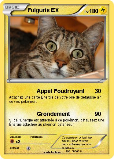 Pokemon Fulguris EX