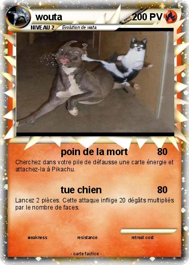 Pokemon wouta