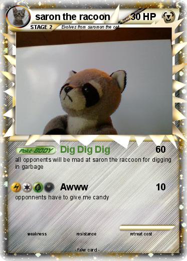 Pokemon saron the racoon
