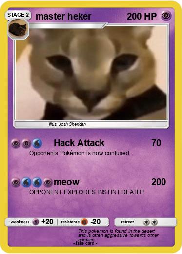 Pokemon master heker