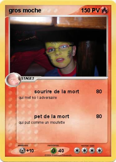 Pokemon gros moche