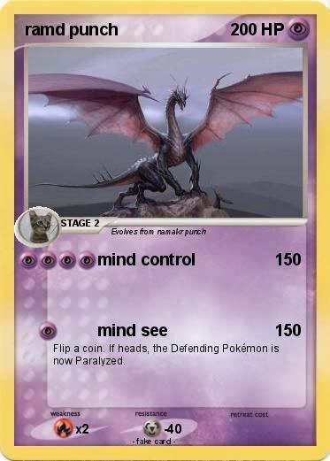 Pokemon ramd punch