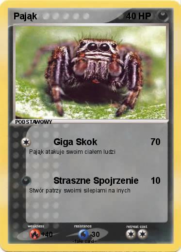 Pokemon Pająk