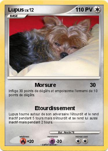 Pokemon Lupus