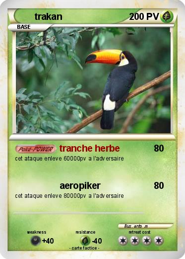 Pokemon trakan