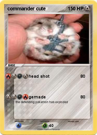 Pokemon commander cute