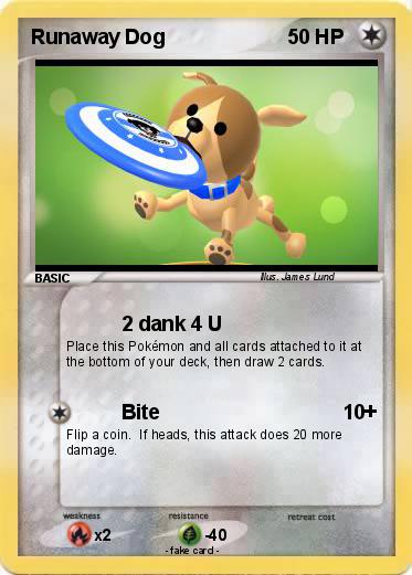 Pokemon Runaway Dog