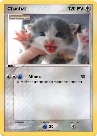 Pokemon Chachat