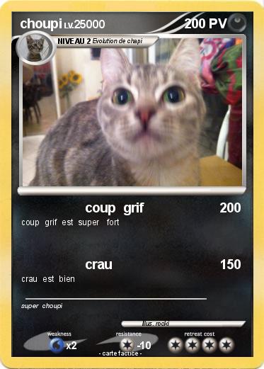Pokemon choupi