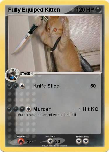 Pokemon Fully Equiped Kitten