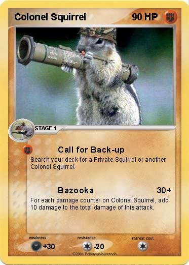 Pokemon Colonel Squirrel