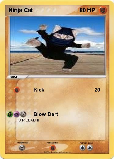 Pokemon Ninja Cat