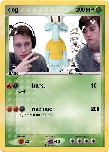 Pokemon dog